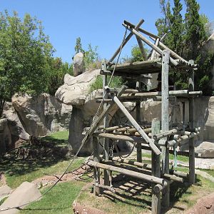Primate World - Sumatran Orangutan Exhibit
