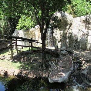 Primate World - Mandrill Exhibit
