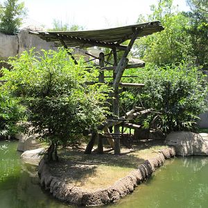 Primate World - White-Cheeked Gibbon Exhibit