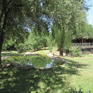 Mountain Bongo/Common Waterbuck/West African Crowned Crane Exhibit