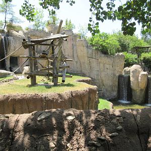 Primate World - Bonobo Exhibit (with 4 waterfalls!)