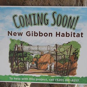 New Gibbon Exhibit (Feb. or Mar. 2016)