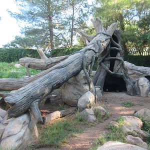 Andean Bear Exhibit (fairly new tree structure)