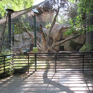 Jaguar Exhibit - side view