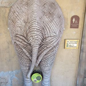 Expedition Tanzania - touch the backside and it makes noises!