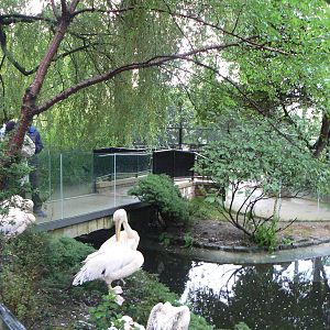 Pelican Enclosure