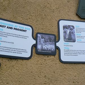 Penguin Rock- Signage