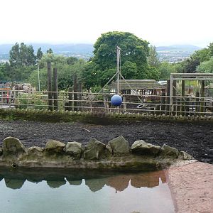 Indian Rhinoceros Enclosure