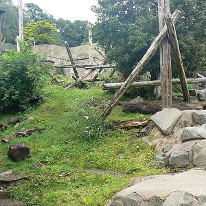 Sun Bear Enclosure