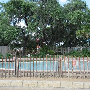 Caribbean Flamingo Exhibit