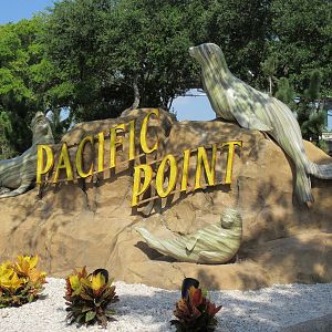 Pacific Point (New in 2015) - California Sea Lions + Harbor Seals