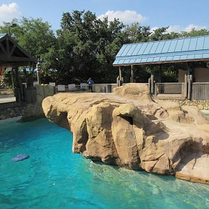 Pacific Point (New in 2015) - California Sea Lions + Harbor Seals