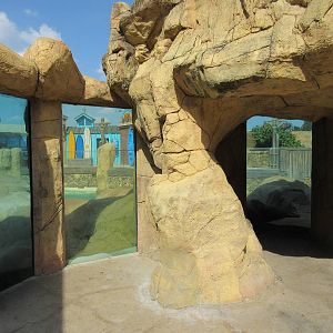 Pacific Point (New in 2015) - California Sea Lions + Harbor Seals