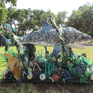 Recycled Shark