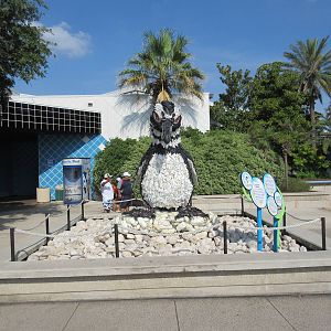 Recycled Magellanic Penguin