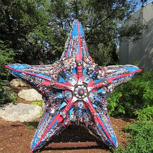Recycled Starfish