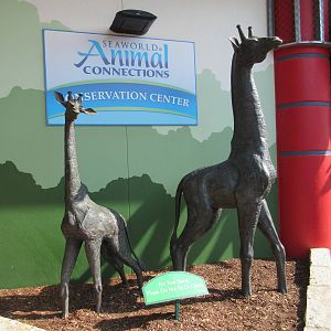 Animal Connections Conservation Center - Entrance