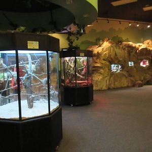 Animal Connections Conservation Center