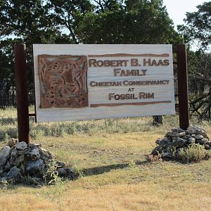 Drive-Through Safari - Cheetah Conservation Center