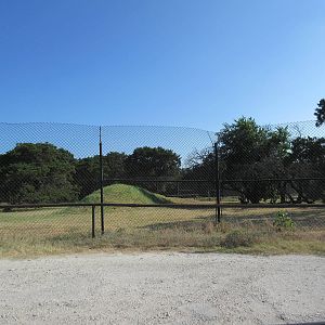 Drive-Through Safari - Cheetah Exhibit