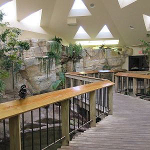 Elm Street Backyard Building - Walk-Through Aviary