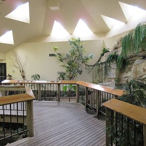 Elm Street Backyard Building - Walk-Through Aviary