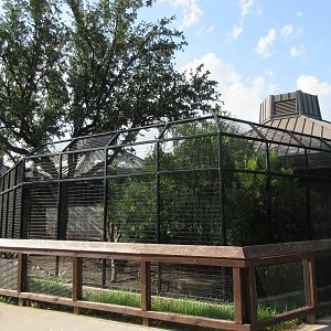Wild Turkey Exhibit