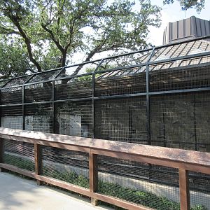 Chacoan Peccary Exhibit