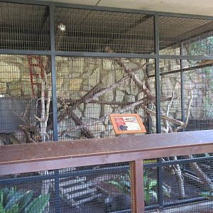North American Porcupine Exhibit