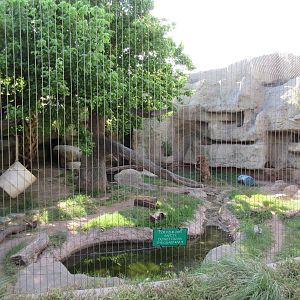 Jaguar Exhibit
