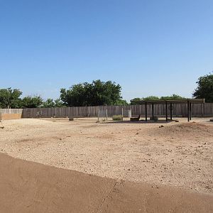 South American Pampas Exhibit - Guanaco/Rhea/Mara