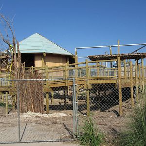 Future Giraffe Safari Exhibit