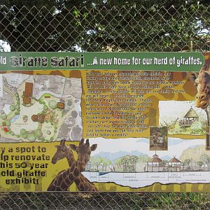 Future Giraffe Safari Exhibit