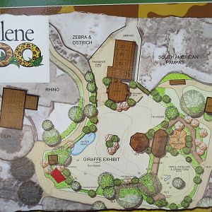 Future Giraffe Safari Exhibit