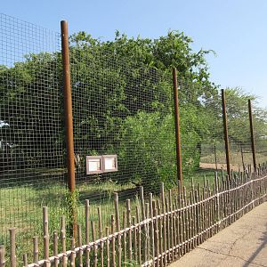 Secretary Bird/African Spurred Tortoise Exhibit