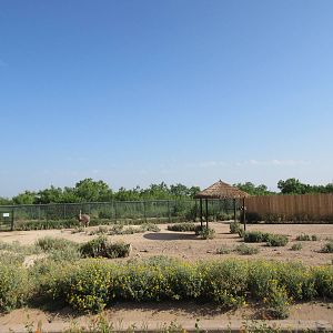 Grant's Zebra/Ostrich Exhibit