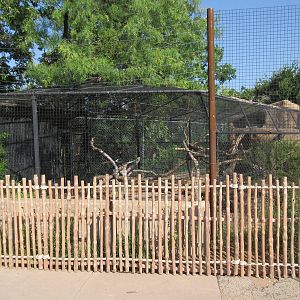 Trumpeter Hornbill/Aldabra Tortoise Exhibit