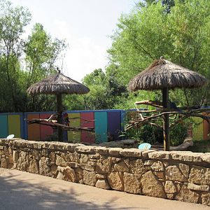 Caribbbean Cove - Macaw Perches