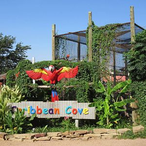 Caribbbean Cove - Entrance Zone