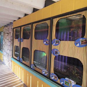 Caribbbean Cove - Assorted Terrariums