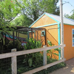 Caribbbean Cove - Squirrel Monkey Exhibit