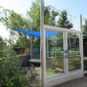 Caribbbean Cove - Dwarf Caiman/Black Wood Turtle Exhibit