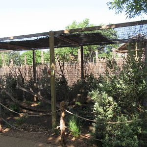 Greater Roadrunner Exhibit