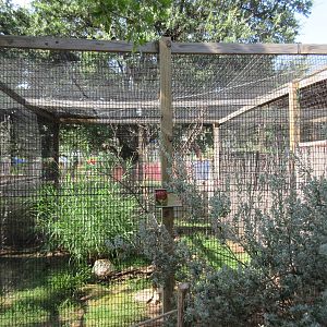 Attwater's Prairie Chicken Exhibit