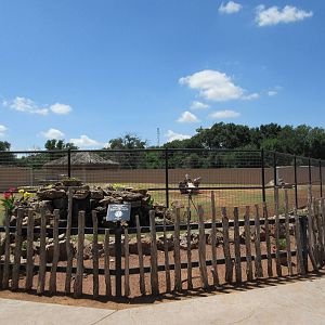 Blue Wildebeest Exhibit (New in 2014)