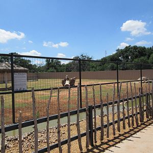Blue Wildebeest Exhibit (New in 2014)