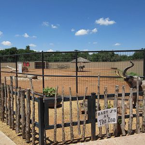 Grant's Zebra Exhibit (New in 2014)