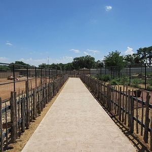 Blue Wildebeest + Grant's Zebra Exhibits (New in 2014)