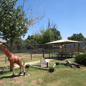 Rothschild's Giraffe Exhibit + Giraffe Statue