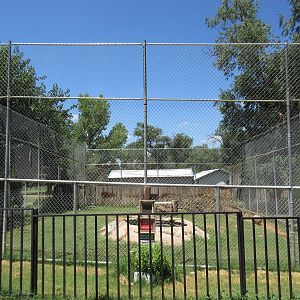 Bengal Tiger Exhibit